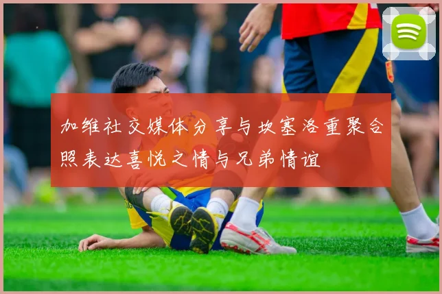 加维社交媒体分享与坎塞洛重聚合照表达喜悦之情与兄弟情谊